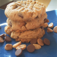 Old Fashioned Peanut Butter Cookies Recipe | Allrecipes image