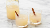 SWAMP WATER PUNCH RECIPE RECIPES