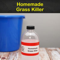 HOW TO MAKE HOMEMADE GRASS AND WEED KILLER RECIPES