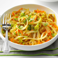 RECIPE WITH EGG NOODLE RECIPES