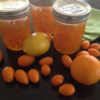 Kumquat-Orange Marmalade Recipe | Allrecipes image