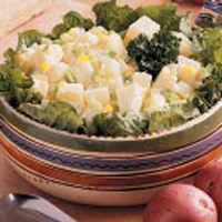 Contest-Winning Old-Fashioned Potato Salad Recipe: How to ... image