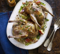 Pheasant recipes - Recipes and cooking tips - BBC Good Food image