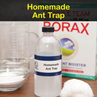 HOMEMADE ANT TRAP BORAX RECIPES