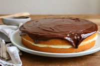 CHOCOLATE APPLESAUCE CAKE RECIPES