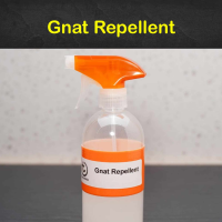 15 Simple Gnat Repellents that Really Work - Tips Bulletin image