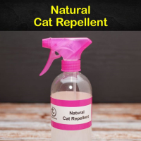 Keeping Cats Away - 12 Natural Cat Repellent Tips and Recipes image