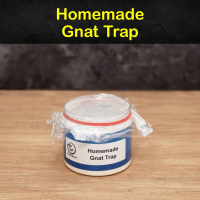 31 Homemade Gnat Traps and Ways to Kill ... - Tips Bulletin image