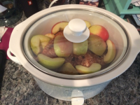 RECIPE FOR PULLED PORK IN A CROCK POT RECIPES