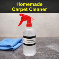 NATURAL HOMEMADE CARPET CLEANER RECIPES