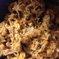 SLOW COOKER CHICKEN WITH RICE RECIPES