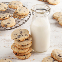 BITE SIZE CHOCOLATE CHIP COOKIES RECIPES