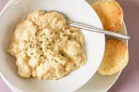 CROCK POT CHICKEN AND DUMPLINGS MADE WITH BISCUITS RECIPES