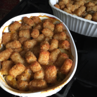 TATER TOT CASSEROLE WITH CREAM OF CHICKEN AND SOUR CREAM RECIPES