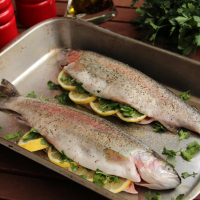 GRILLING RAINBOW TROUT RECIPES