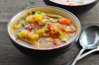RECIPE FOR VEGETABLE SOUP IN CROCK POT RECIPES