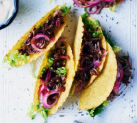 MEXICAN PULLED PORK RECIPES
