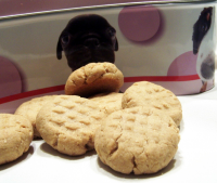 Peanut Butter Doggie Cookies Recipe - Food.com image