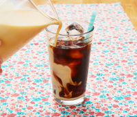 ICED COFFEE RECIPES WITH SWEETENED CONDENSED MILK RECIPES