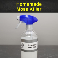 Homemade Moss Killer Recipes: 5 Natural Tips For Killing Moss image