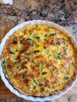QUICHE WITH FROZEN CRUST RECIPES