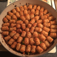 TATER TOT CASSEROLE WITH GROUND BEEF RECIPE RECIPES