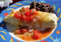 Chicken Enchiladas With Sour Cream Sauce Recipe - Food.co… image