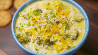 Best Crock-Pot Cheesy Chicken Broccoli Soup Recipe - Delish image