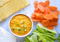 BUFFALO CHICKEN DIP USING CANNED CHICKEN RECIPES