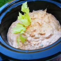 CHICKEN IN CROCKPOT WITH RANCH PACKET RECIPES