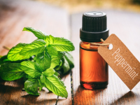 How To Make Peppermint Oil - Organic Facts image