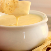 WHITE CHEESE QUESO DIP RECIPES