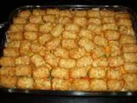 RECIPE FOR TATER TOT CASSEROLE WITH GROUND BEEF RECIPES
