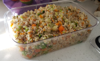 HOMEMADE DOG FOOD WITH GROUND BEEF RECIPES