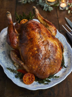 TURKEY COOKED IN BAG RECIPES