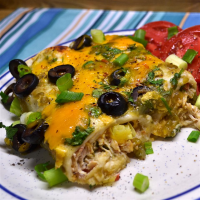 Cream Cheese Chicken Enchiladas Recipe | Allrecipes image