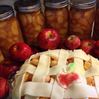 Canned Apple Pie Filling Recipe | Allrecipes image