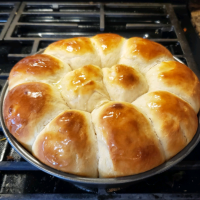 HOW TO MAKE QUICK DINNER ROLLS RECIPES