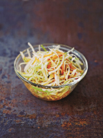 INGREDIENTS FOR COLESLAW RECIPES
