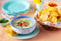 HOW TO MAKE WHITE QUESO DIP RECIPES