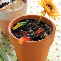 Dirt Cake Recipe: How to Make It - Taste of Home image