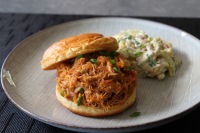 SLOPPY JOES WITH CHICKEN RECIPES