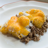 GROUND BEEF TATER TOT RECIPES RECIPES