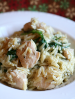 Garlic Chicken with Orzo Noodles Recipe | Allrecipes image