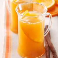APPLE CIDER PUNCH ALCOHOL RECIPES