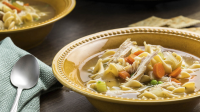 Turkey Noodle Soup in a Slow Cooker Recipe | McCormick image