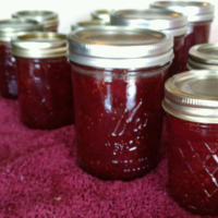 CANNING STRAWBERRY RHUBARB PIE FILLING RECIPES
