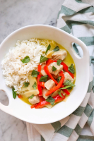 THAI GREEN CURRY CHICKEN RECIPE AUTHENTIC RECIPES