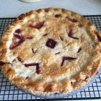 Saskatoon Pie Recipe | Allrecipes image