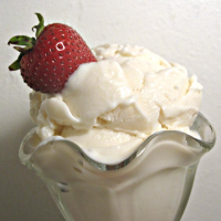 Vanilla Frozen Yogurt Recipe | Allrecipes image